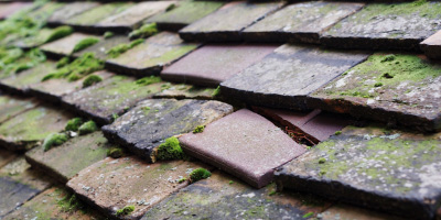 Sneyd Park roof repair costs